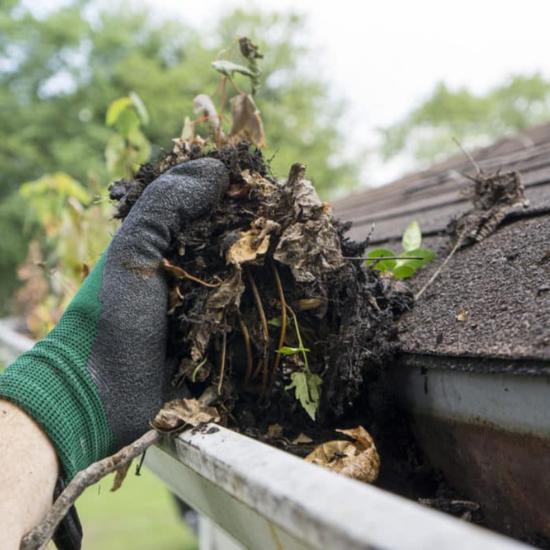 Gutter Clean Out Services Charleston SC