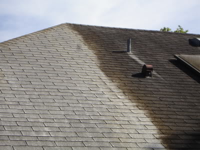 Roof Cleaning Companies in Charleston SC